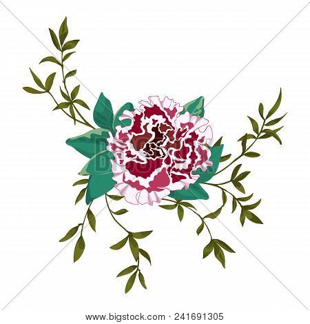 Vector Flower Bouquet, Design Element Isolated On White Background.terry Petunia, Peony And Twigs Wi