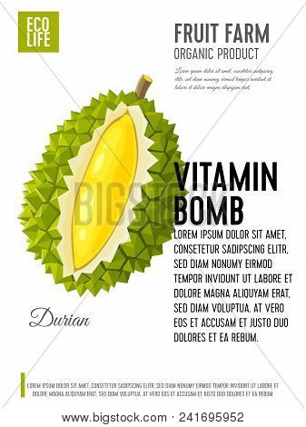 Packaging Label. Concept Design With Inscription. Durian Fruit. Vector Flat Poster Template With Tex