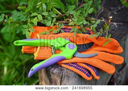 Garden Gloves With A Pruner For Working In The Garden