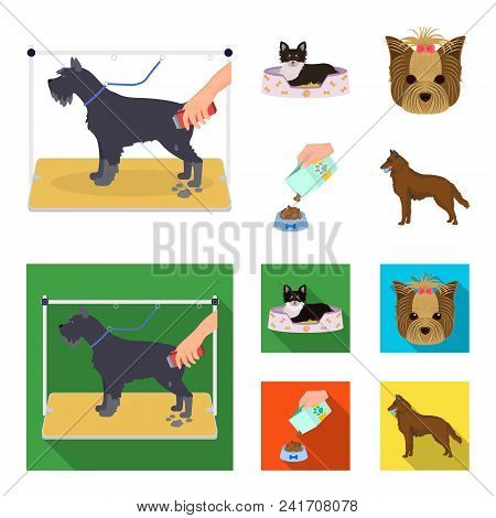 A Dog In A Lounger , A Muzzle Of A Pet, A Bowl With A Feed, A Sheepdog With A Ball In His Teeth. Pet