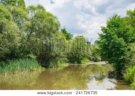 Trees By Calm Juzna Morava River In The Summer