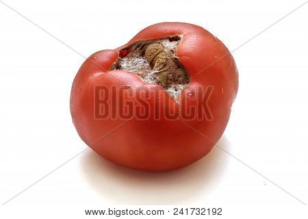 Tomatoes With Abiotic Disorders On The White Background.