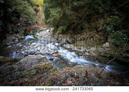 Mountain Stream Blurred As It Moves Over Rocks And Through Green Trees