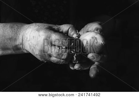 Hands Of Old Woman Piling A Boiled Potato. Black And White Photography.