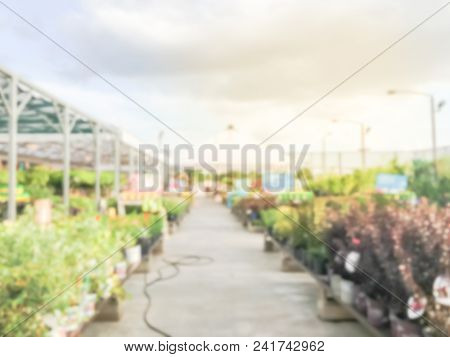 Blurred Plant Nursery, Tool And Equipment At Garden Center In Usa