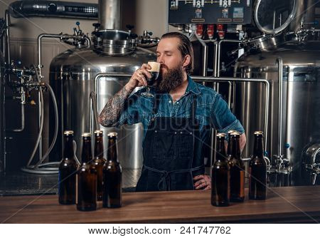 Portrait Of Tattooed, Bearded Hipster Male Manufacturer Tasting Beer In The Microbrewery.