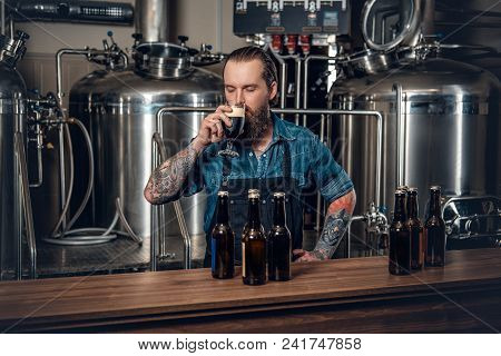 Portrait Of Tattooed, Bearded Hipster Male Manufacturer Tasting Beer In The Microbrewery.