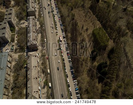 Forest In The Novosibirsk City,siberia With Diffrent Trees And Plants With Some Buildings In It. Str