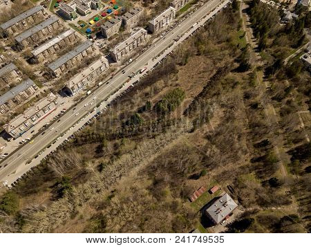 Forest In The Novosibirsk City,siberia With Diffrent Trees And Plants With Some Buildings In It. Str
