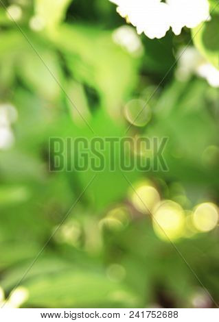Green Abtract Background With A Flower Silhouette