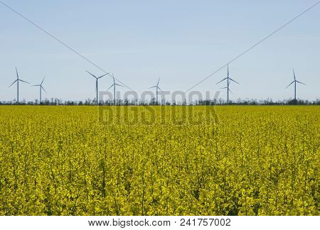 Wind Energy Turbines Field With Blue Sky, Renewable Electric Energy Source, Green Energy Nature Frie