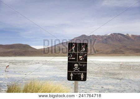 Laguna Hedionda At Andean Altiplano In Bolivia