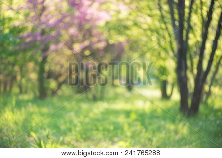 Spring Grass Background With Green Branches And Biautiful Bokeh