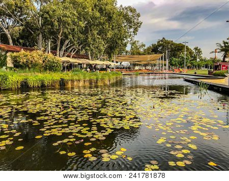 Rishon Le Zion, Israel - April 30, 2018: Picturesque The Lake Shore In Rishon Le Zion