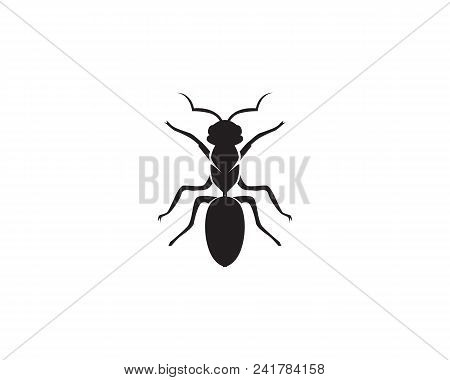 Ant Logo Template Vector Illustration Design