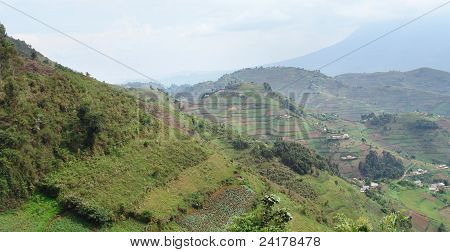 Virunga Dağları Afrika