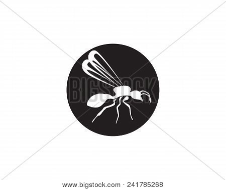 Ant Logo Template Vector Illustration Design