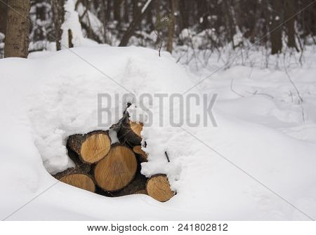 Close-up Of Pile Of Snow Covered Timber Logs Underneath A Thick Snow Cover