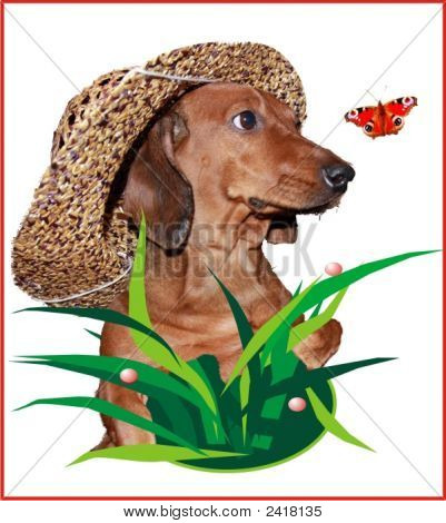 A taxa em Panamá