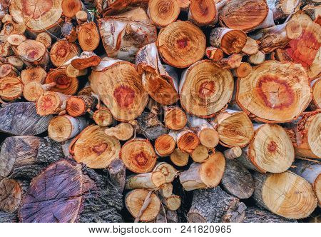 Interesting Patterns In A Closeup Of A Woodpile Of Different Sized Branches Cut And Stacked.  Logs H