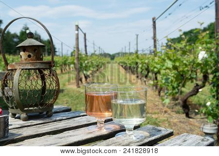 Dutch Winery, White And Rose Wine Tasting On Vineyard In Brabant On Outside Terrace
