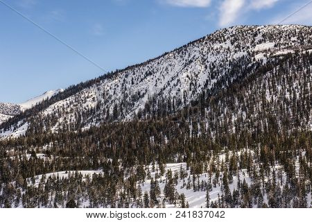 Hillside In Mammoth Lakes, California, January 2017, A Record Snow-fall Year