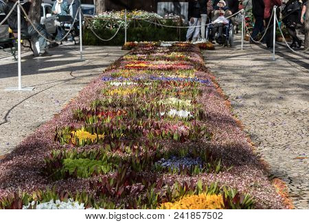 Funchal, Madeira, Portugal - April 19, 2018: Flower Festival - The Famous Floral Carpets In The City