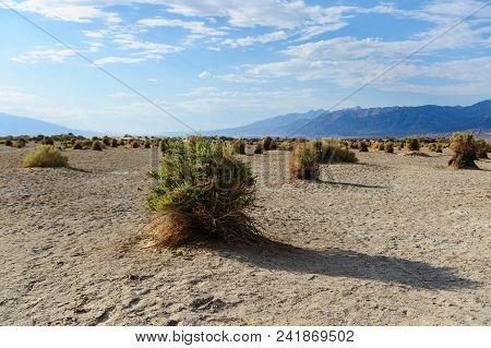 Death Vallley Landscape