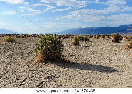 Death Vallley Landscape