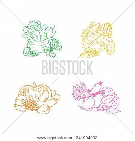 Vector Hand Drawn Doodle Vegetables Icon Piles Set Isolated On White Background Illustration. Health