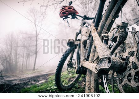 Mountain Bike And Helmet In Autumn Woods. Mtb Dirty Bicycle And Helmet Resting On Tree In Forest. Ad