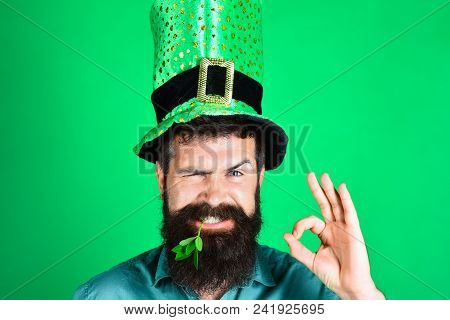 St Patrick's Day. Bearded Man In Green Men Hats Celebrate Patricks Day. St Patrick's Day Party. Gree