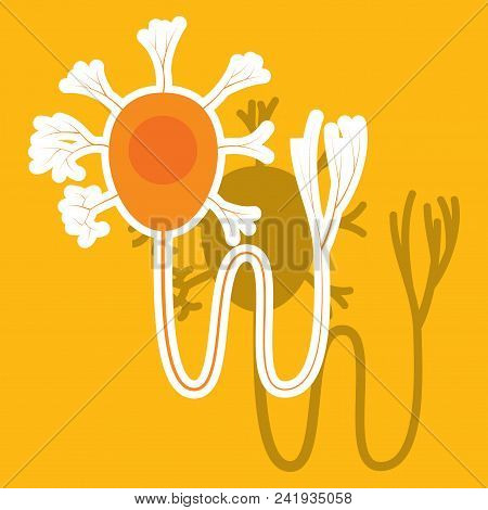 Education Chart Of Biology For Nerve Cell Diagram. Sticker Illustration