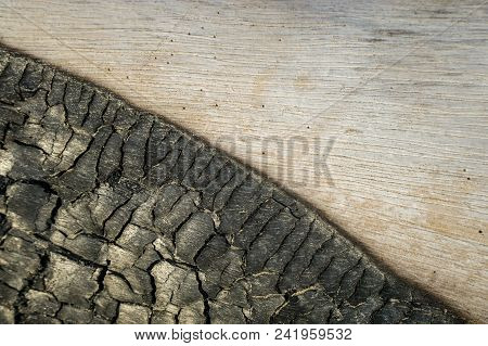 Close Up Of Black Burnt Wood And Intact White Wood. Natural Pattern