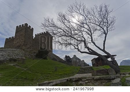 Genoese Fortress In Sudak, Crimea. Consular Castle And A Lonely Tree Against A Cloudy Sky. Early Apr
