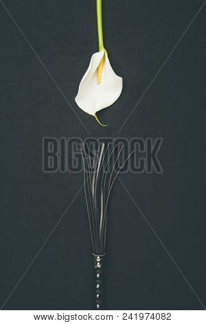 Black Leather Flogging Whip With White Calla Flower Isolated On Black