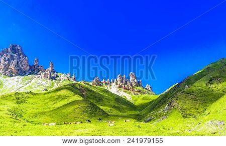 View On Rough Mountains And Green Meadows By Alpe Di Siusi In South Tyrol