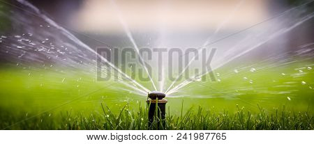 Automatic Sprinkler System Watering The Lawn On A Background Of Green Grass, Close-up