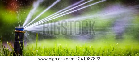 Automatic Sprinkler System Watering The Lawn On A Background Of Green Grass, Close-up