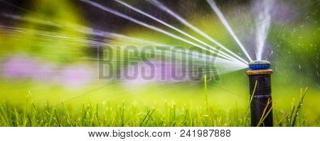 Automatic Sprinkler System Watering The Lawn On A Background Of Green Grass, Close-up