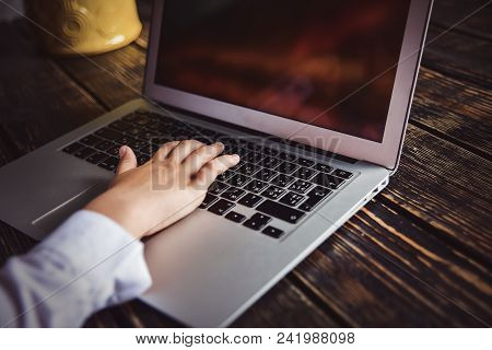 Person Working On A Modern Laptop On A Wooden Bench