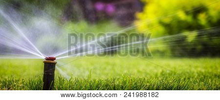 Automatic Sprinkler System Watering The Lawn On A Background Of Green Grass, Close-up