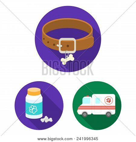 Veterinary Clinic Flat Icons In Set Collection For Design. Treatment Of A Pet Vector Symbol Stock  I