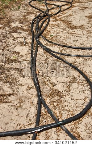 Stolen Cable On Ground In A Forest. Stripped Of Metal Wires. Only Protective Casing And Insulation A