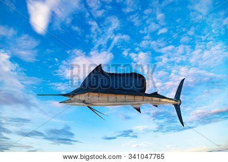 Marlin - Swordfish,sailfish Saltwater Fish (istiophorus) Blue Sky Background.