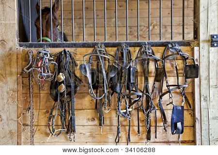 Harness racing apparatuur zoals hoofdstellen, harnassen en bits opknoping op de buitenmuur van een kraam