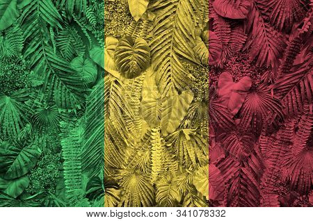Mali Flag Depicted On Many Leafs Of Monstera Palm Trees. Trendy Fashionable Backdrop