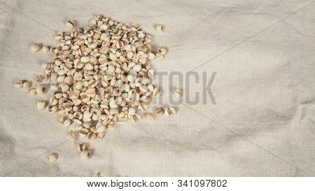 Job's Tears, Also Known As Adlay And Coix On Calico Background. Popular In Asian Cultures As A Food 