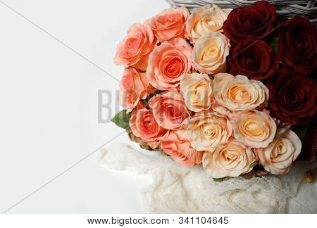 Roses.  Colored rose.  Holiday flower. Wedding.