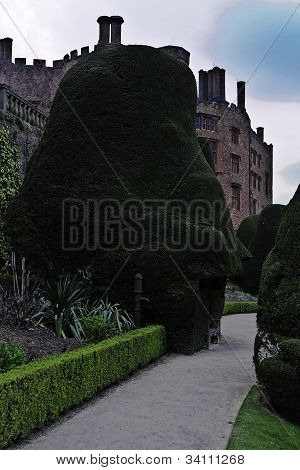 Jardim do Castelo de Powis e suas árvores do Yew